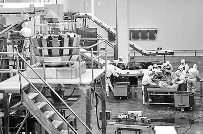 視覺(jué)新聞 肉制品及副產(chǎn)品加工的現(xiàn)代化轉(zhuǎn)型